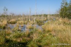 Fotospaziergänge
