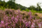 Fotospaziergänge