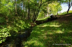 IMG26841-FB