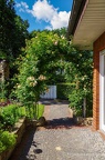 IMG27390-FB