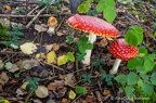 IMG28984-FB