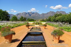 DSC01553 eh Stellenbosch