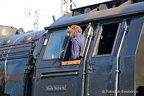 IMG 2073-WM